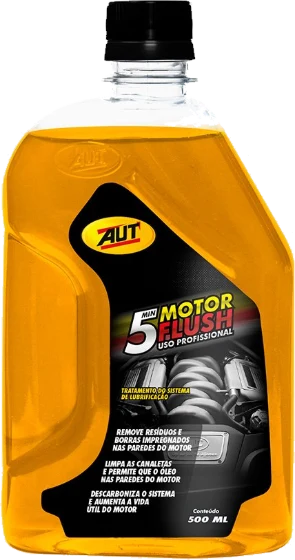 5 minutes Motor Flush